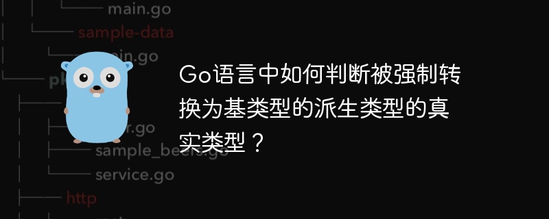 Go语言中如何判断被强制转换为基类型的派生类型的真实类型?