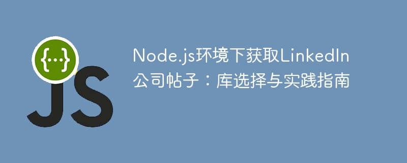 Node.js环境下获取LinkedIn公司帖子：库选择与实践指南
