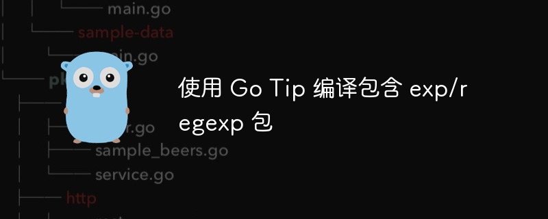 GoTip编译exp/regexp包方法