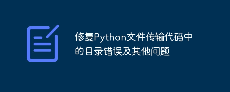 Python文件传输错误修复指南