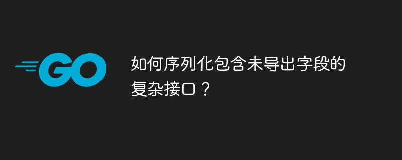 复杂接口未导出字段如何序列化？