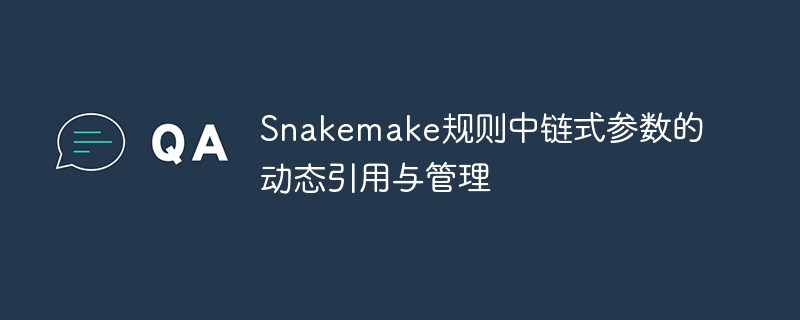 Snakemake规则中链式参数的动态引用与管理
