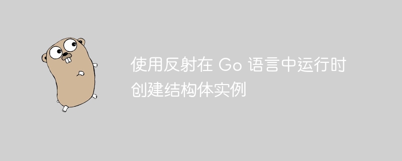使用反射在 Go 语言中运行时创建结构体实例