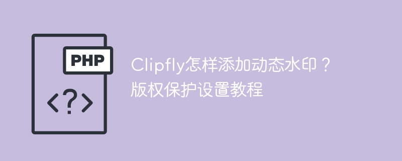 Clipfly动态水印添加教程详解
