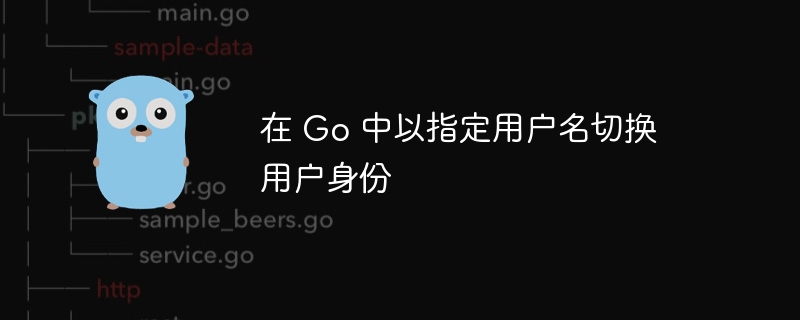 Go中如何切换用户身份方法详解