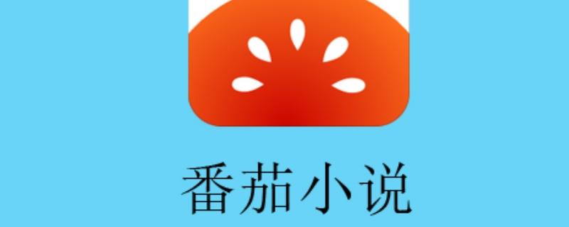 番茄小说VIP永久解锁技巧