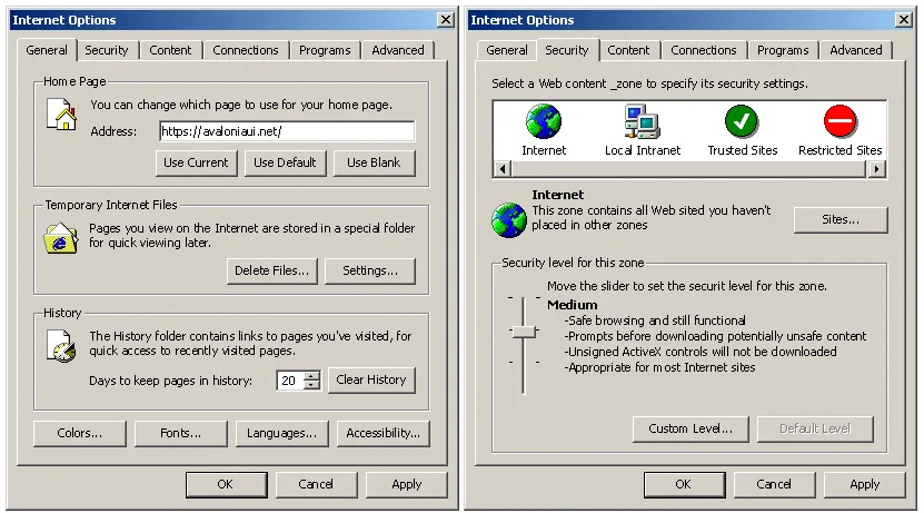 一款超级经典复古的 Windows 9x 主题风格 Avalonia UI 控件库，满满的回忆杀！