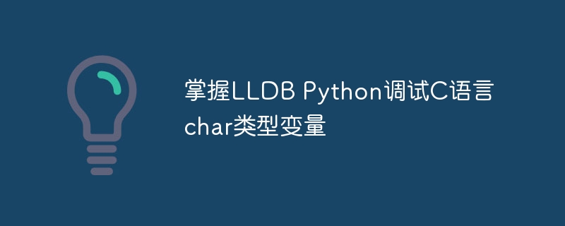 掌握LLDB Python调试C语言char类型变量