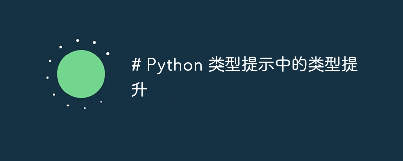 # Python 类型提示中的类型提升