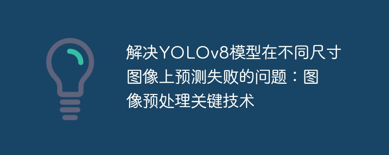 YOLOv8预测失败？关键预处理技巧解析