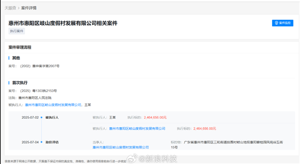 进军AI领域二次创业后 王自如再成被执行人 执行标的超246万