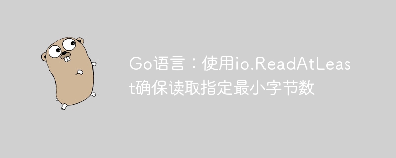 Go语言:使用io.ReadAtLeast确保读取指定最小字节数