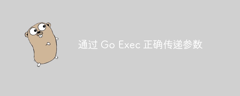 GoExec正确传递参数方法解析
