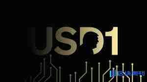 usd1是什么意思