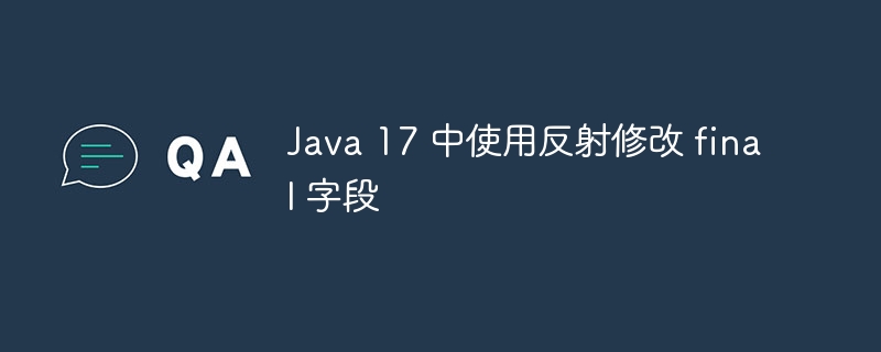 Java 17 中使用反射修改 final 字段