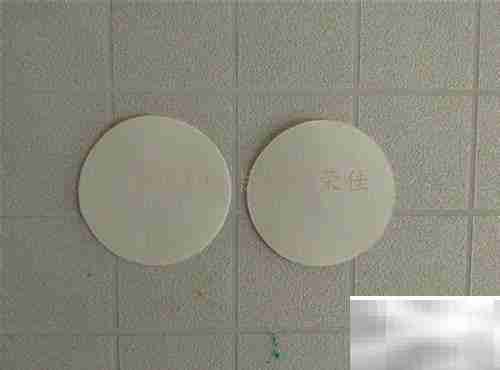 折纸乐趣：宝宝爱上阅读