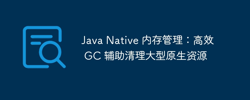 Java Native 内存管理：高效 GC 辅助清理大型原生资源