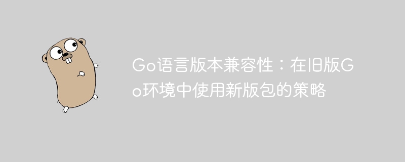 Go语言旧版兼容新包策略详解