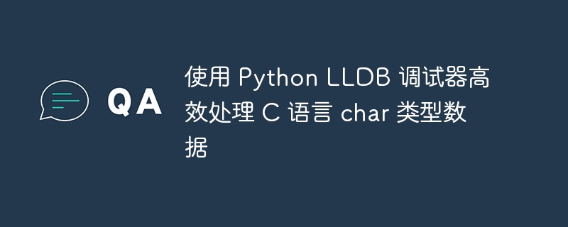 使用 Python LLDB 调试器高效处理 C 语言 char 类型数据
