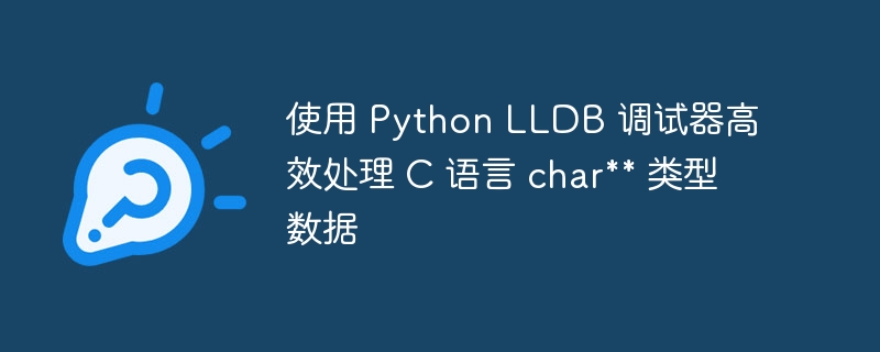 Python中LLDB调试C语言char技巧