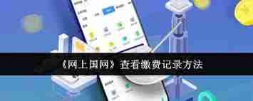 如何在网上国网查看缴费记录