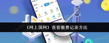 网上国网查缴费记录方法详解