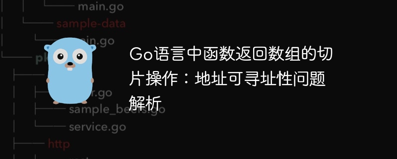 Go切片返回地址引发的问题解析