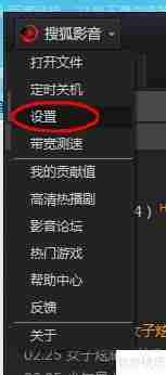 设置搜狐影音自动播放视频
