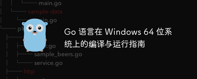 Go 语言在 Windows 64 位系统上的编译与运行指南
