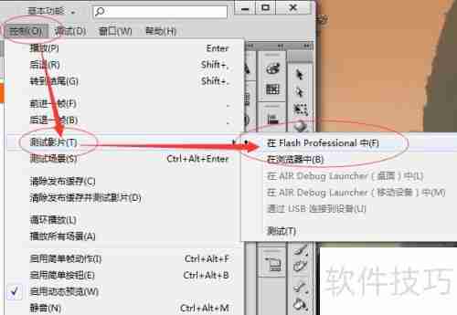 Flash CS3作品分布技巧