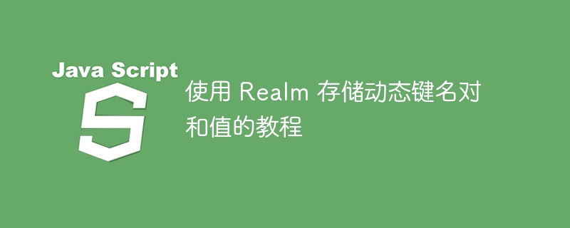 Realm动态键值对存储教程详解