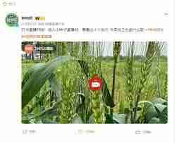 种地吧直播在哪个平台