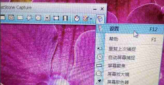 FastStone Capture怎么设置延迟捕捉