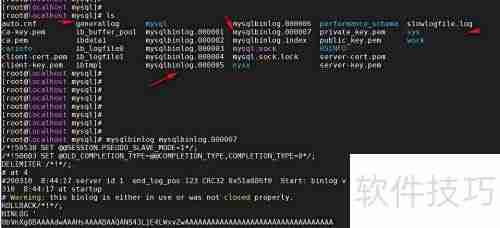 MySQL日志管理精要