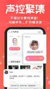 很皮语音包APP如何导入游戏
