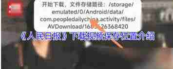 人民日报app下载的视频存放在哪里