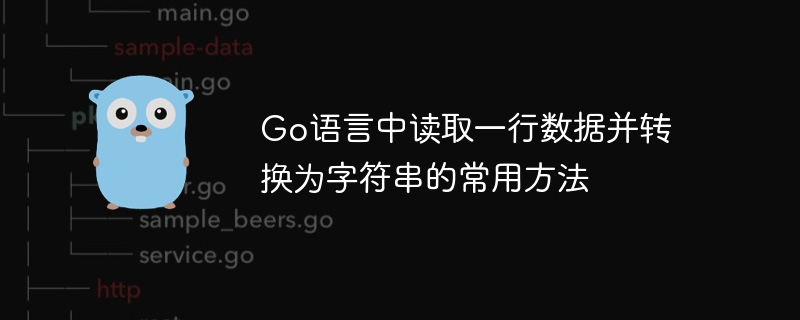 Go语言中读取输入转字符串的几种方式