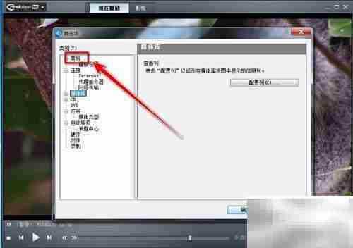 RealPlayer清除播放记录方法