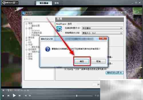 RealPlayer清除播放记录方法