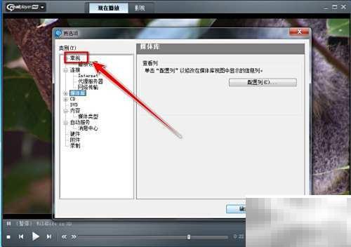 清除RealPlayer播放记录方法详解