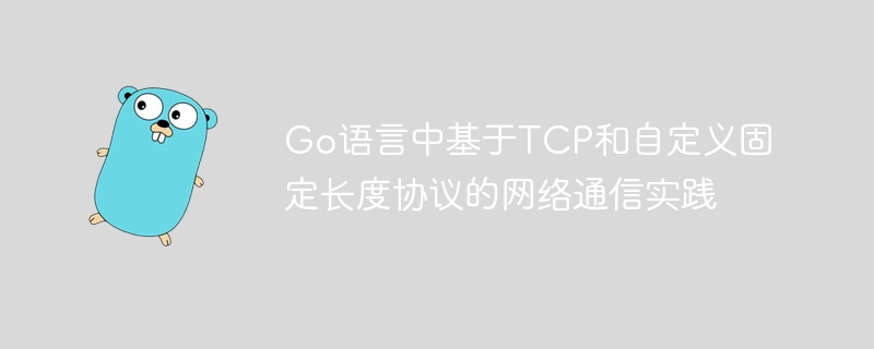 Go语言TCP协议通信实战教程