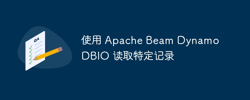使用 Apache Beam DynamoDBIO 读取特定记录