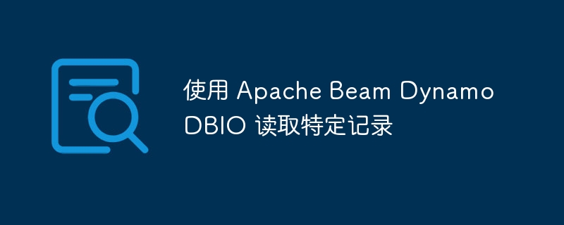 ApacheBeamDynamoDBIO读取技巧