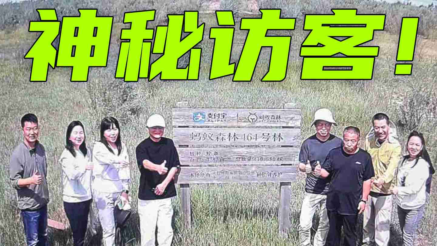 马云时隔六年再次探访蚂蚁森林，和树比高