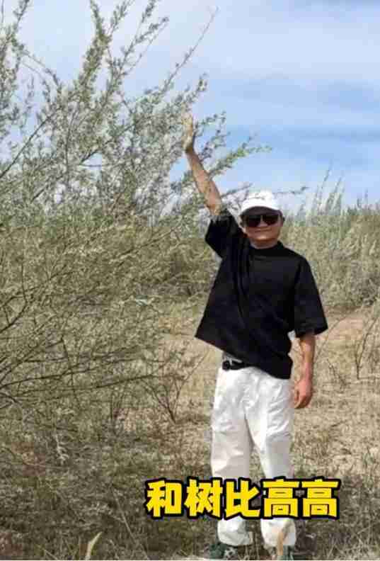 马云时隔六年再次探访蚂蚁森林，和树比高