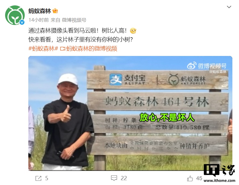 马云六年重返蚂蚁森林，和树比高引热议