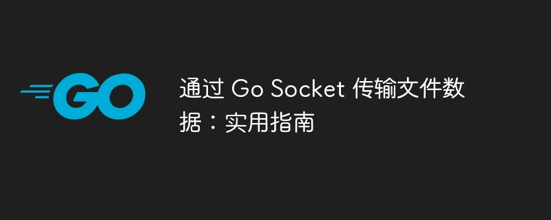 通过 Go Socket 传输文件数据：实用指南