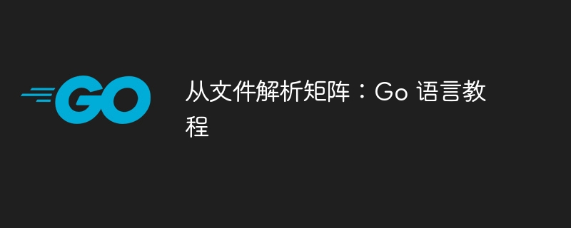 从文件解析矩阵：Go 语言教程