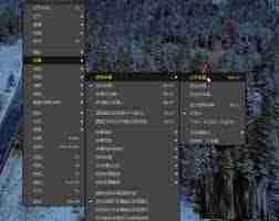 PotPlayer如何挂载字幕