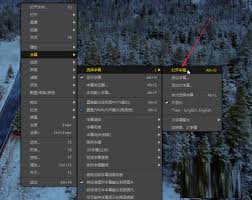 PotPlayer挂载字幕详细教程